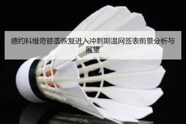 德约科维奇膝盖恢复进入冲刺期温网签表前景分析与展望